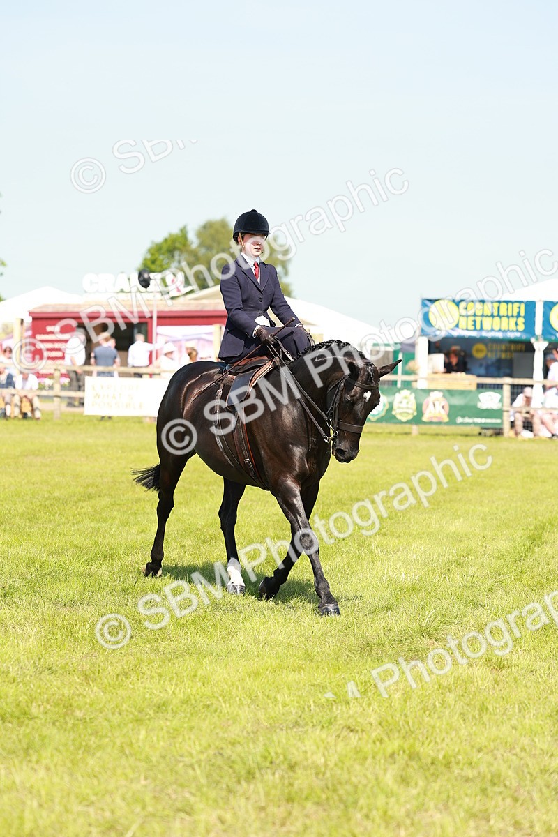 SBM_13339 - Class 70-71 - Side Saddle