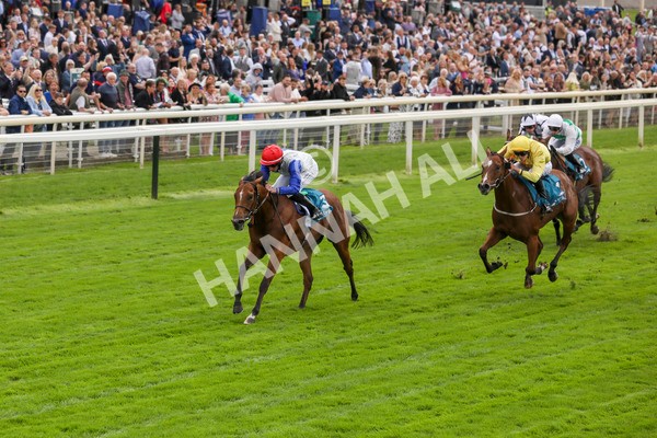 230923-Race 1-Invincible Molly-5188 - Race 1 2.00pm Jigsaw Sports Branding EBF Fillies' Novice Stakes