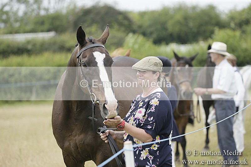 B230619-0501 - Bourne Valley Riding Club Summer Show 23/06/19