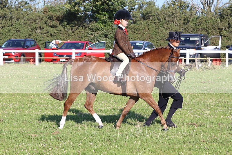 JPP_0783 - Class 16: Cornish Combination Leading Rein