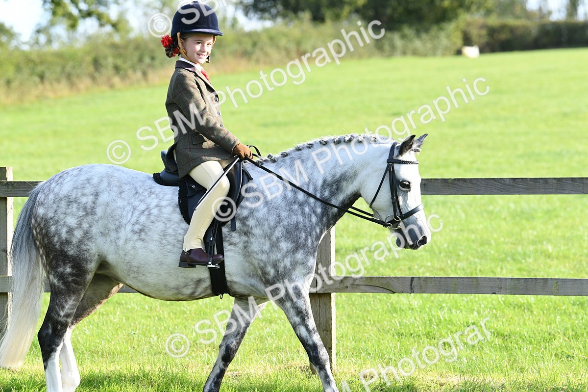 SBM_52363 - S22 - 1st Ridden Show & Show Hunter Pony