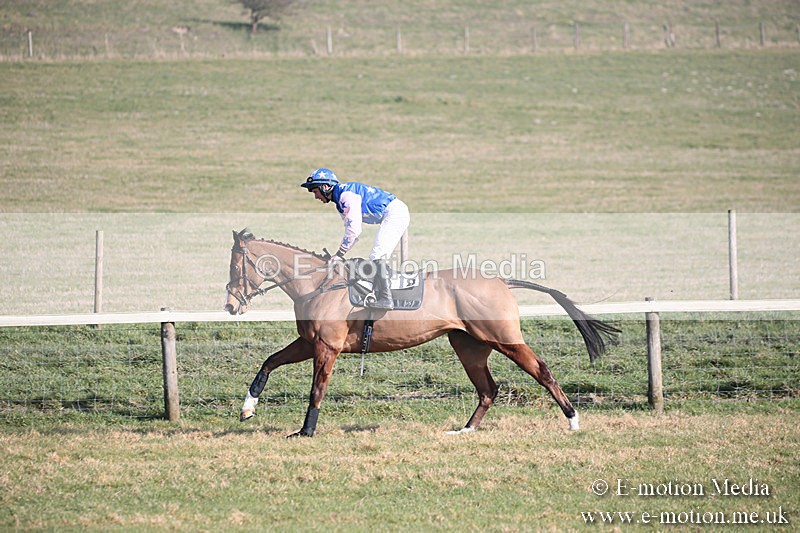 PtP 230219 172 - Vine & Craven Point-To-Point - Barbury 23/02/19