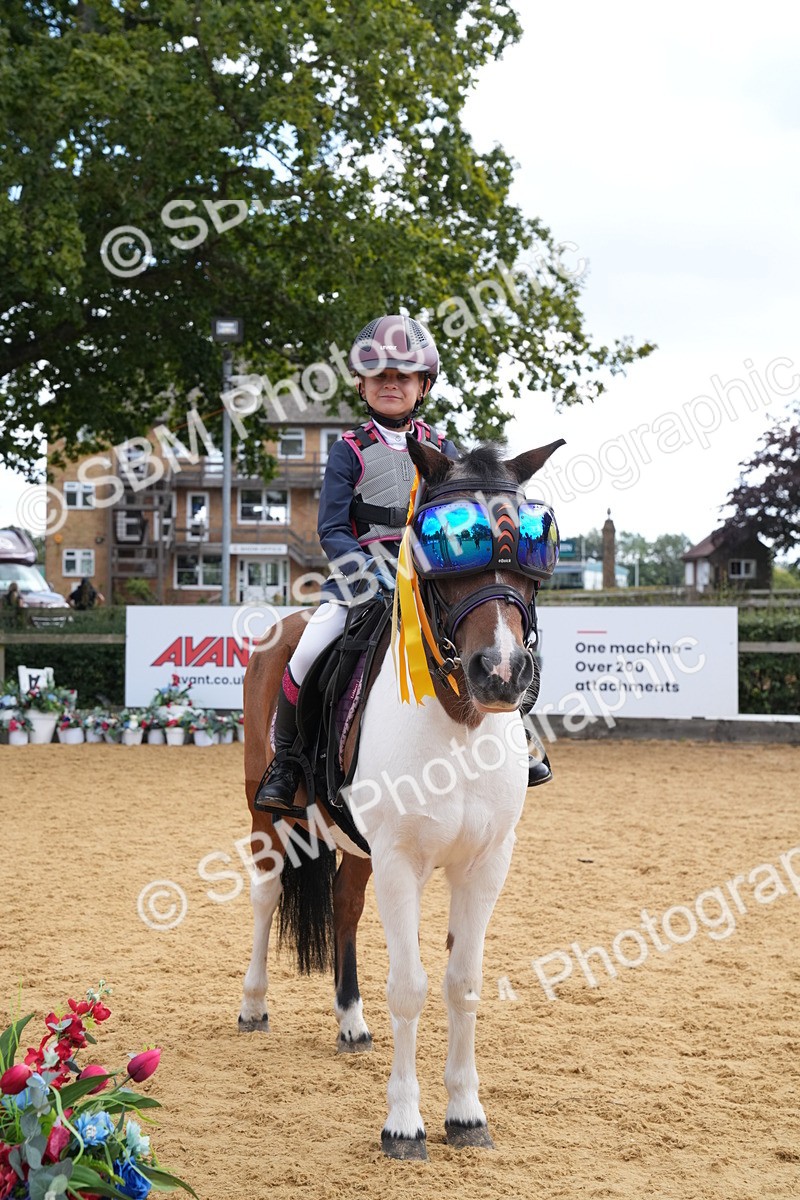 SBM_64565 - J2 - Mini Tour Junior Pony 30cm Championship