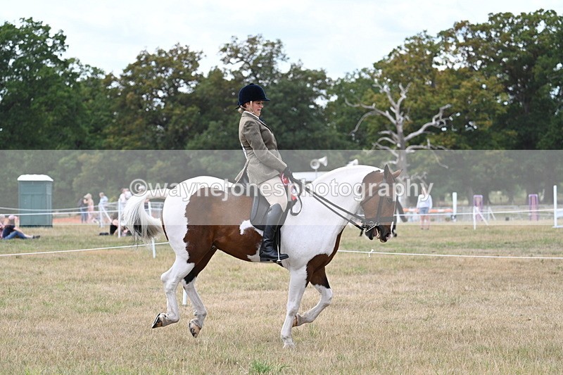 WJ7_5651 - Class 12 Ridden Cob