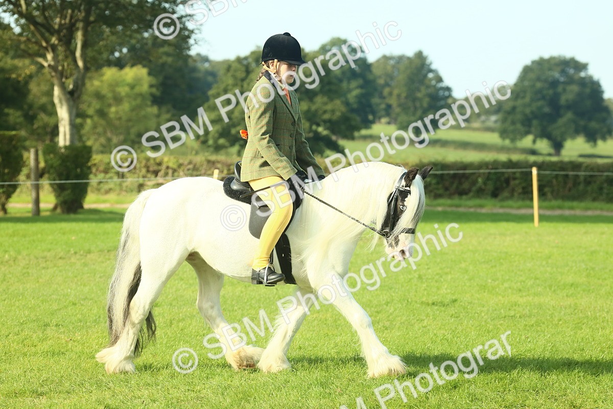 SBM_59815 - S38 - Starters Ridden Showing