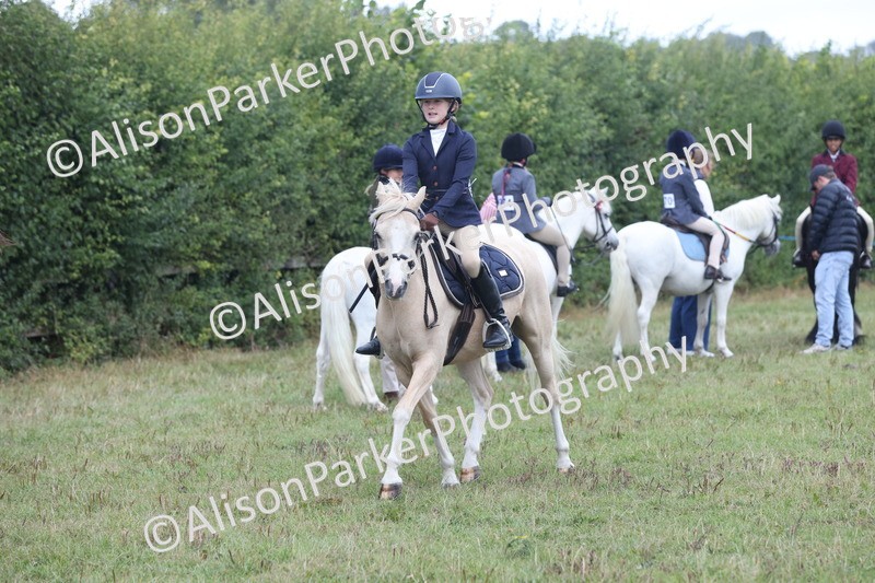 20250831-2412 - Class 16 - Family Pony