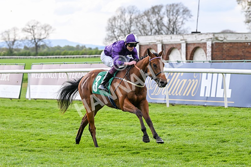 220425-Race 2-Jan Steen-8779 - Race 2