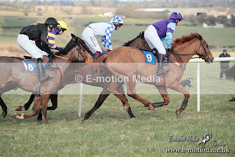 PtP 010325 469 - Beaufort Races Didmarton 01/03/25
