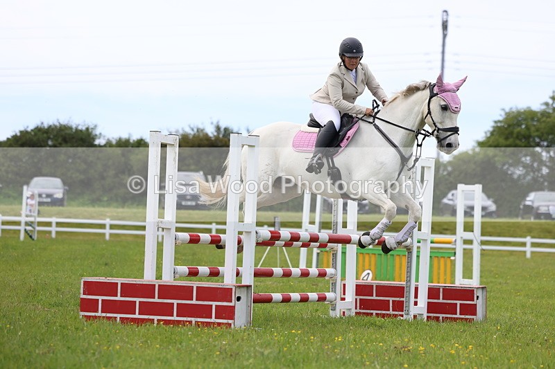 3E7A1753 - Class 13: Senior British Novice/90cm open