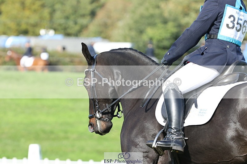 251024A-115258-10071 - D-356-Eloise.Starr