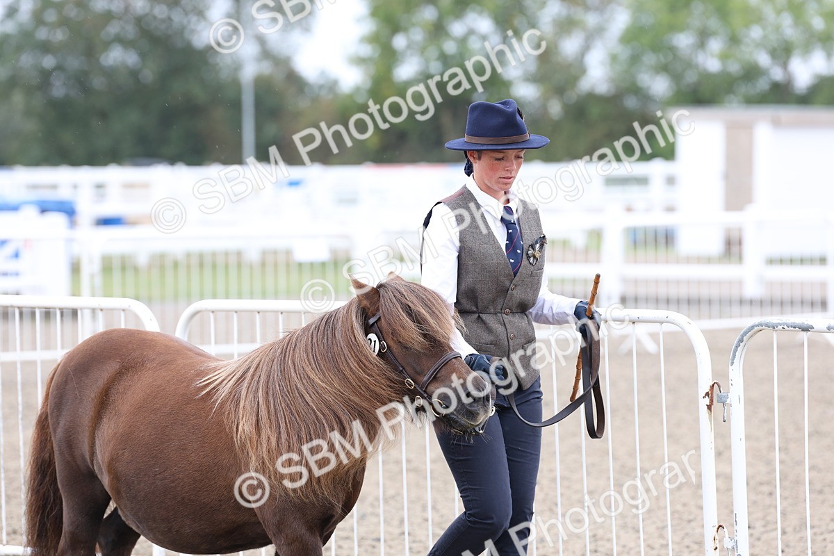 SBM_00018 - Class 50 - Best Turned Out IH