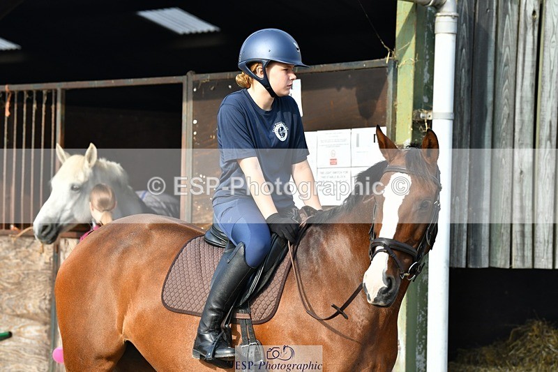 230817-084010-02443 - Stable Shots