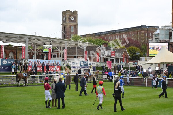 yr14052021r5-2 - Race 5 3.40pm The Jigsaw Sports Branding Handicap