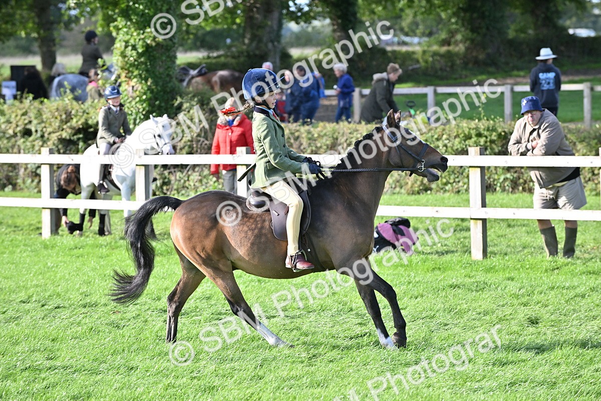 SBM_51247 - S22 - First Ridden show and show Hunter Pony