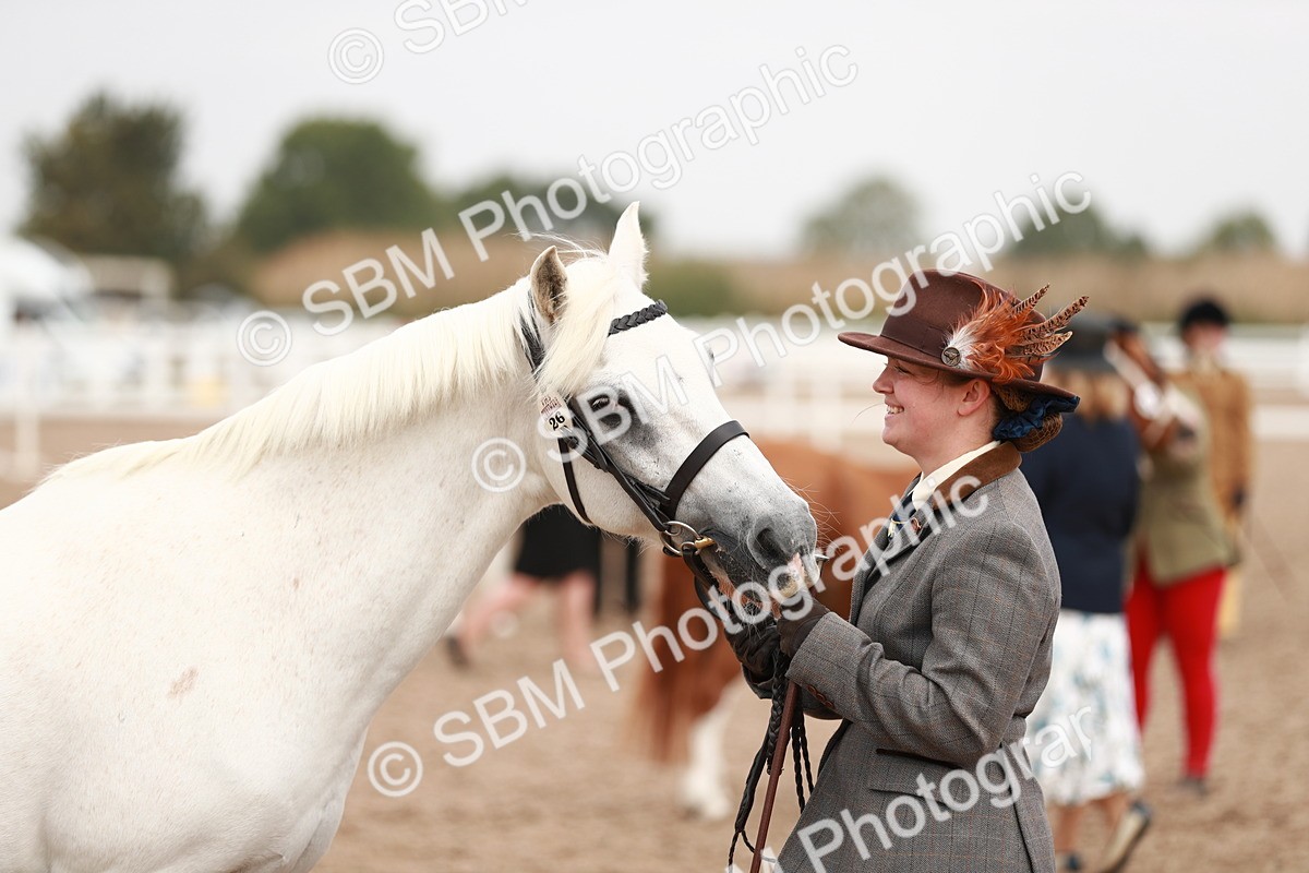 SBM_12540 - Class 207 IH M&M