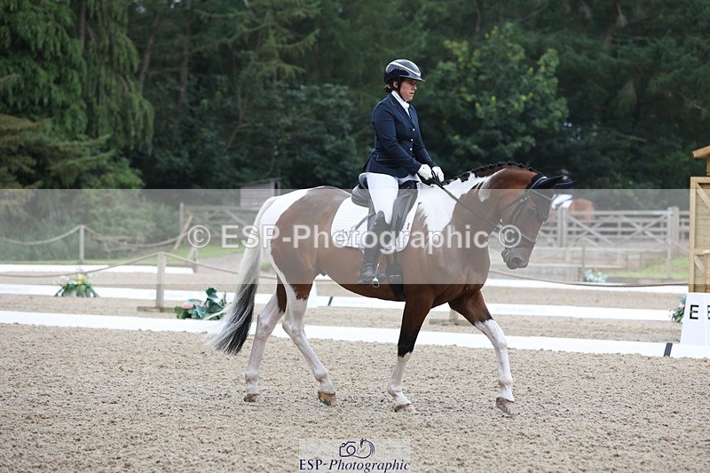 230812-102918-03229 - Cls 5 Novice Bronze Start to 10.55 break