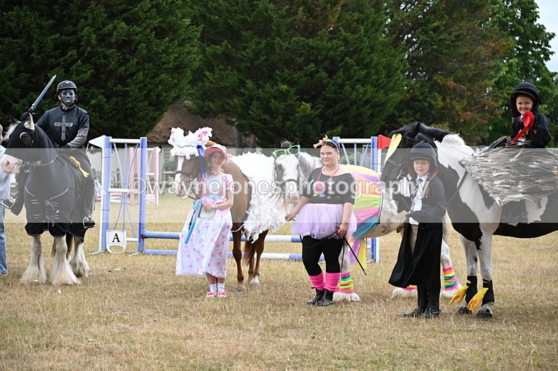 WJ6_9244 - Class 11 Fancy Dress