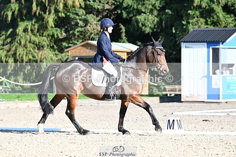 231110-132603-00942 - Cls 4 Novice 39Q