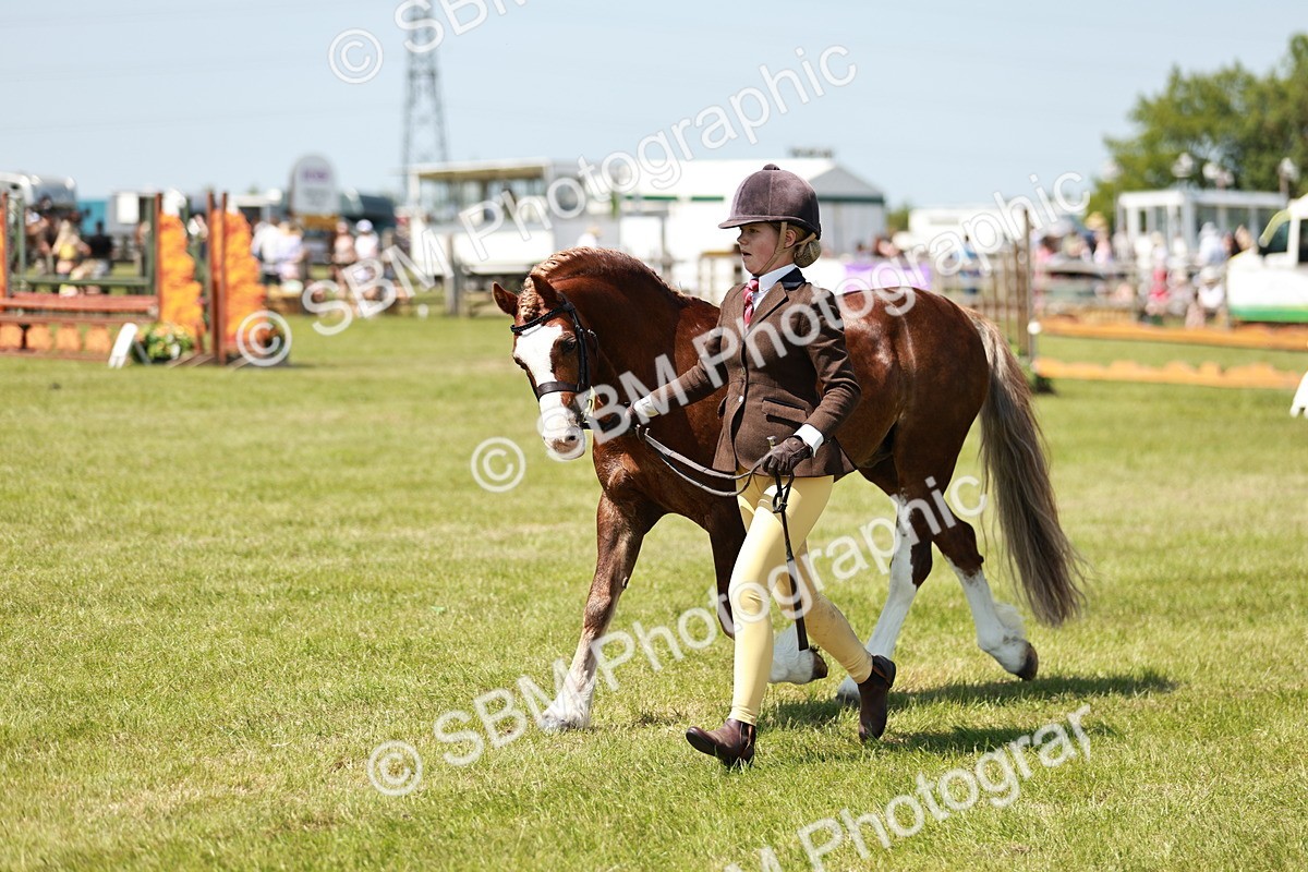 SBM_15546 - Class 108-109 - BSPS LIHS Open Gradle & Nursery Stakes