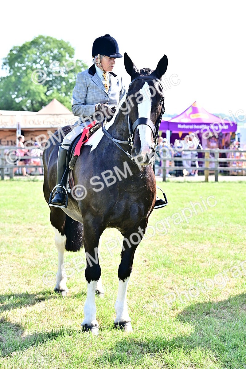 SBM_12195 - Class 93-94 - BSPA RIHS Ridden