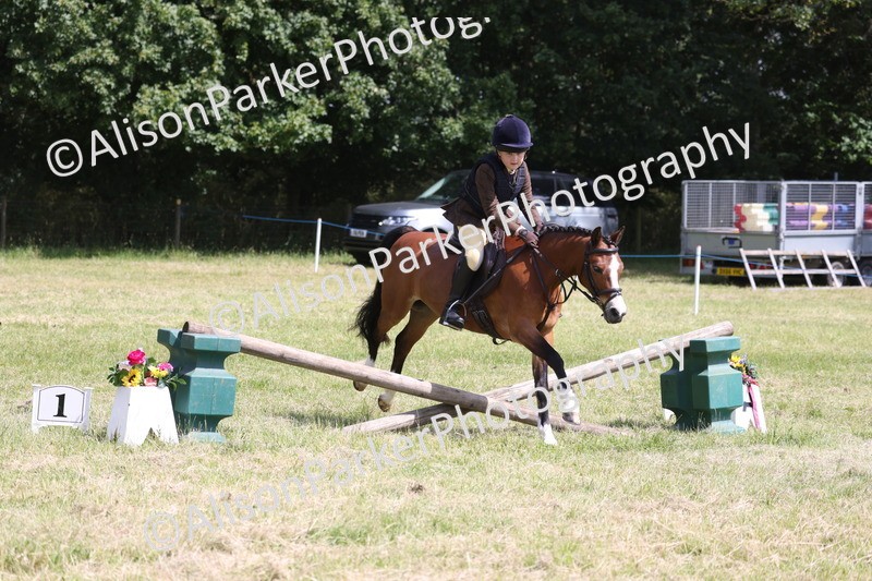 20260614-1745 - Class 21 - Novice Working Hunter Pony