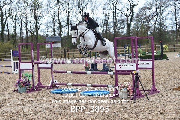 BPP_3895 - CLASS 4 Senior Newcomers/ 1.10m Open