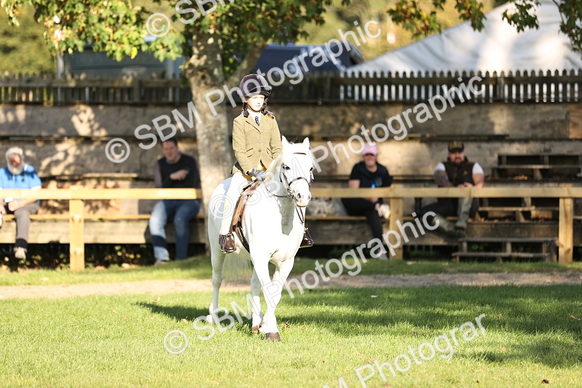 SBM_29406 - S7 - Novice & Newcomers Ridden Pony
