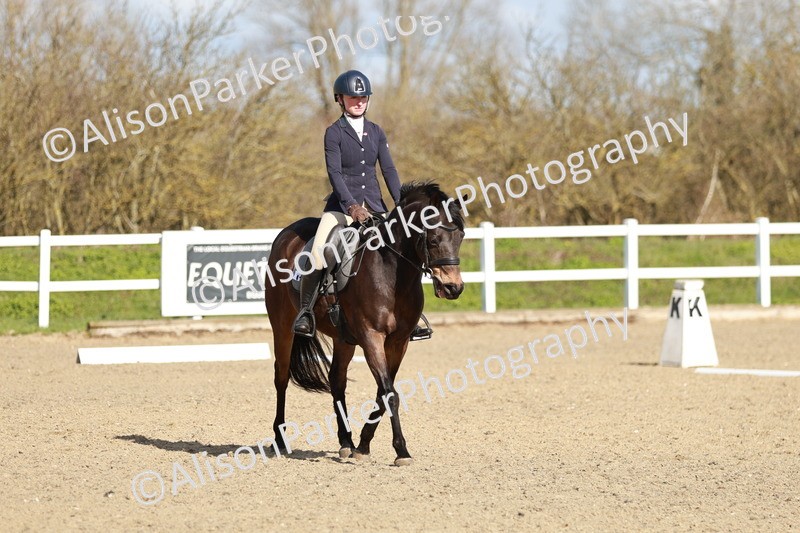 20260314-4313 - DR4 - Prelim 2