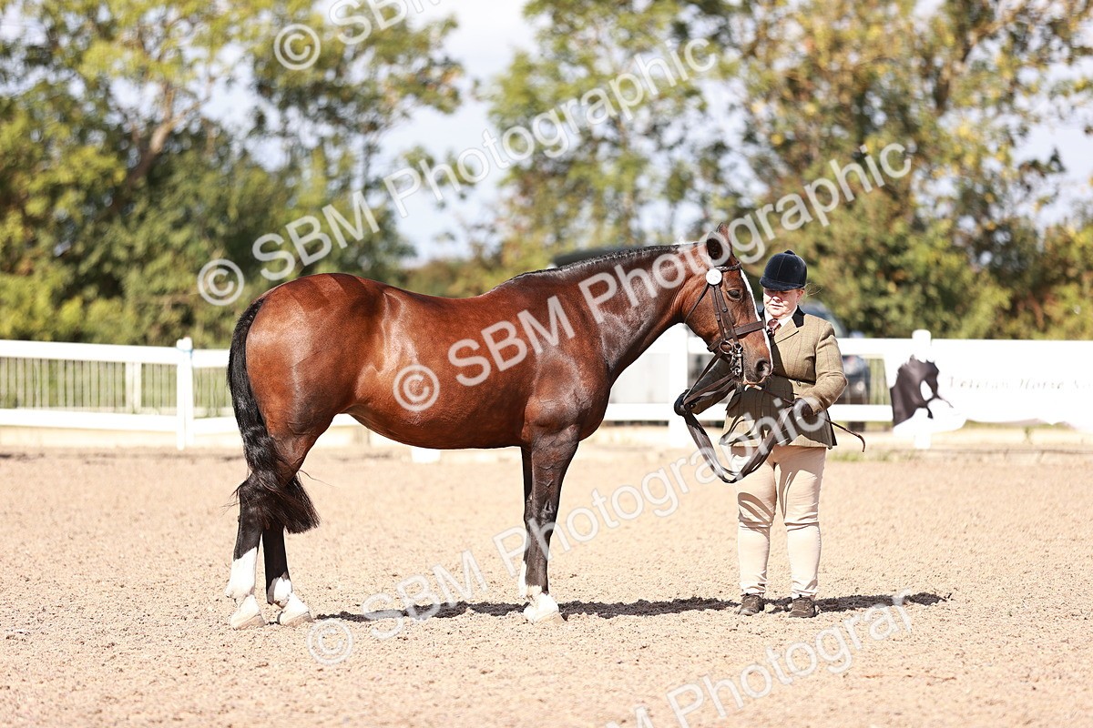 SBM_22945 - Class 707 - IH groom Helpers Class