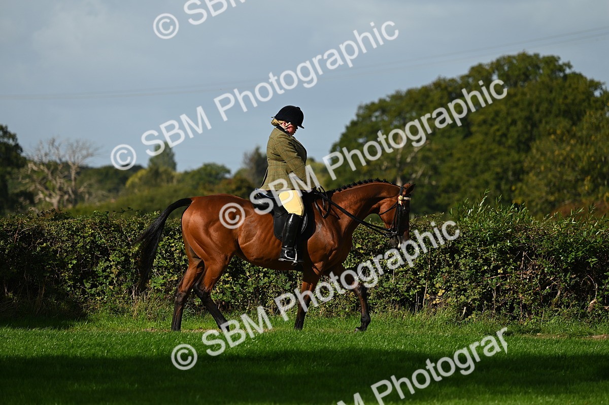 SBM_01326 - S2 - TSR Ridden Horse Showing