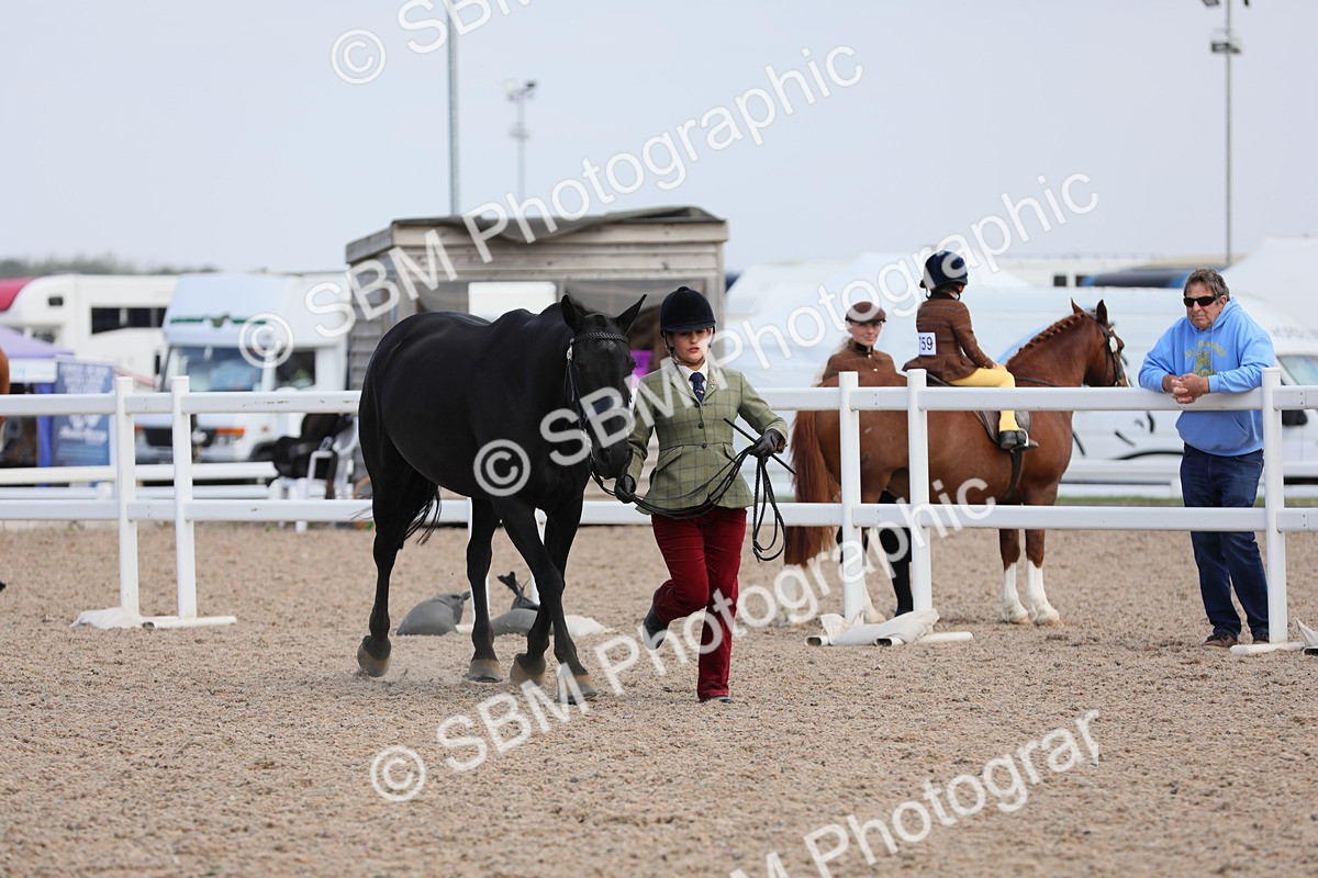 SBM_15819 - Class 312 IH Competition Horse/Pony