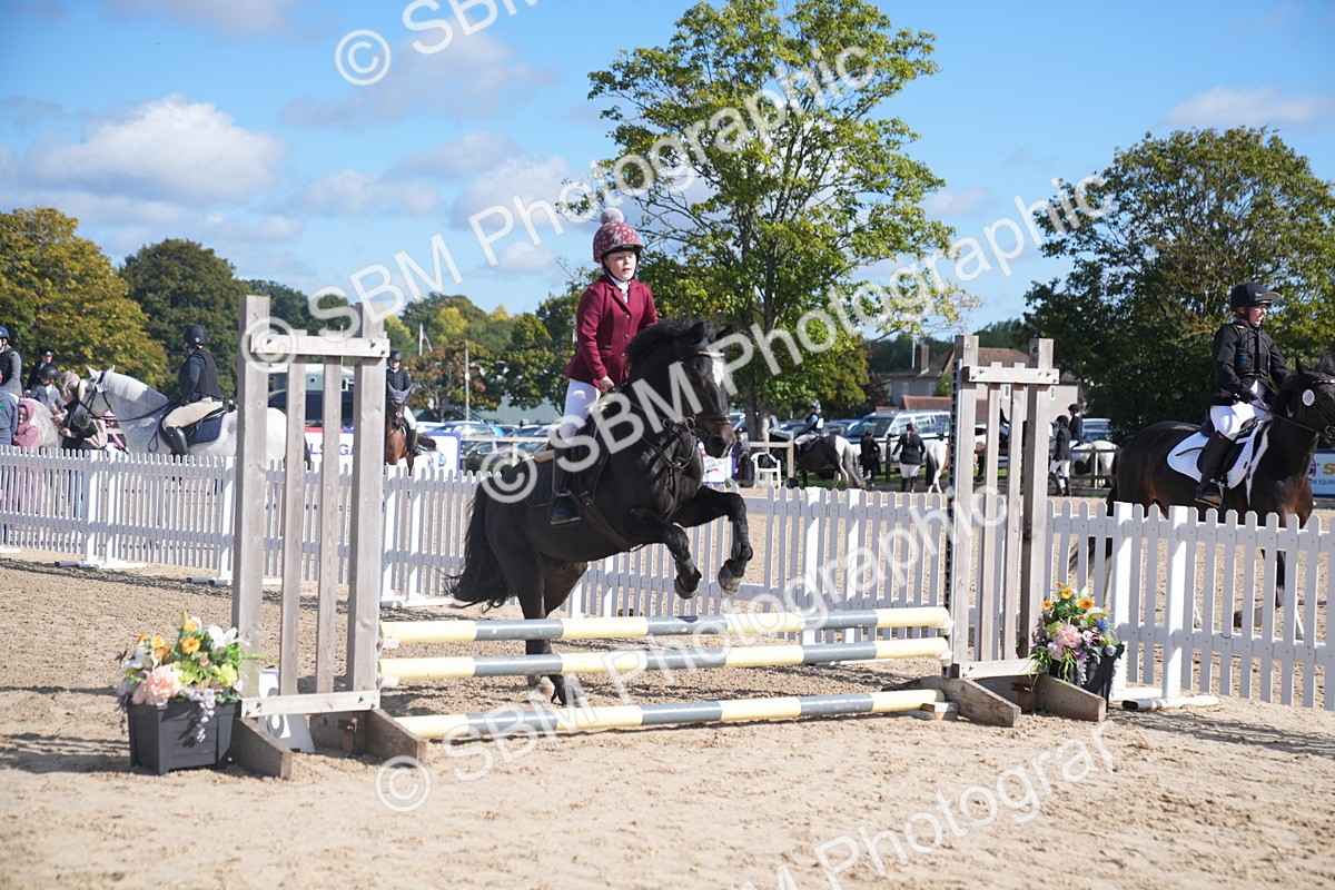 SBM_02442 - J54 Clear Round 45cm