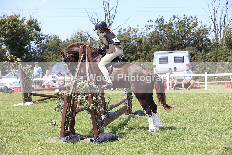 JPP_2411 - Class 21: Working Hunter 60cm
