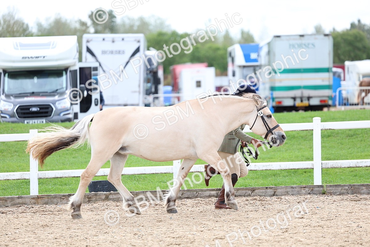 SBM_03915 - Class 25 - IH Foreign Breeds - Pure Bred