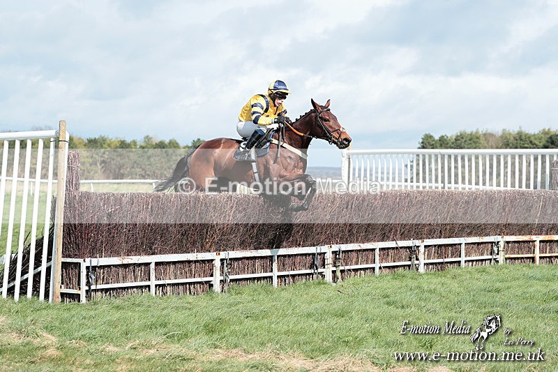 PtP 230324 295 - Tedworth Hunt PtP Larkhill Raccourse 23rd March 2024