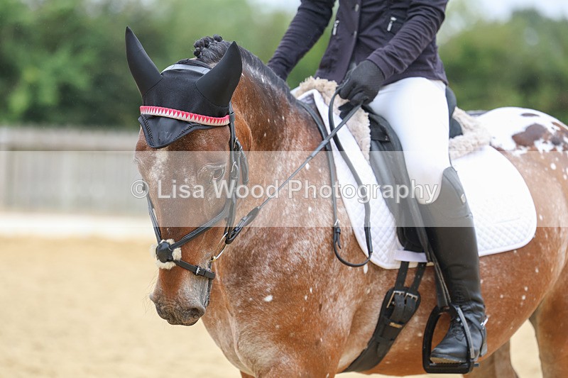 3E7A5397 - Class 2: Intro 4 2024 section B