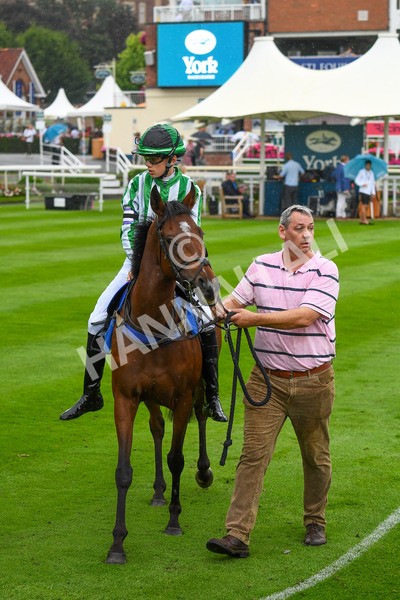 100923-Pony Race 1-0006 - Pony Race 1 12.25 The Dragon (TV and Film) Studios Pony Race 148cm & Under