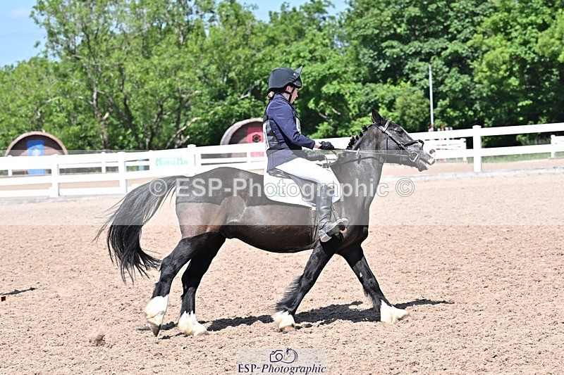 250517-131438-01296 - 50cm