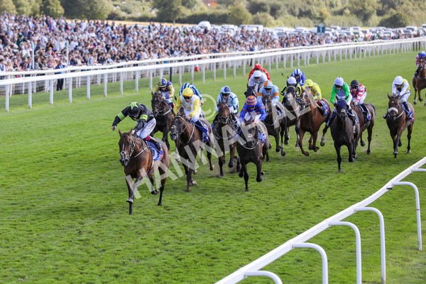 240824-Race 4-Magical Zoe-9132 - Race 4 3.35pm Sky Bet Ebor Handicap