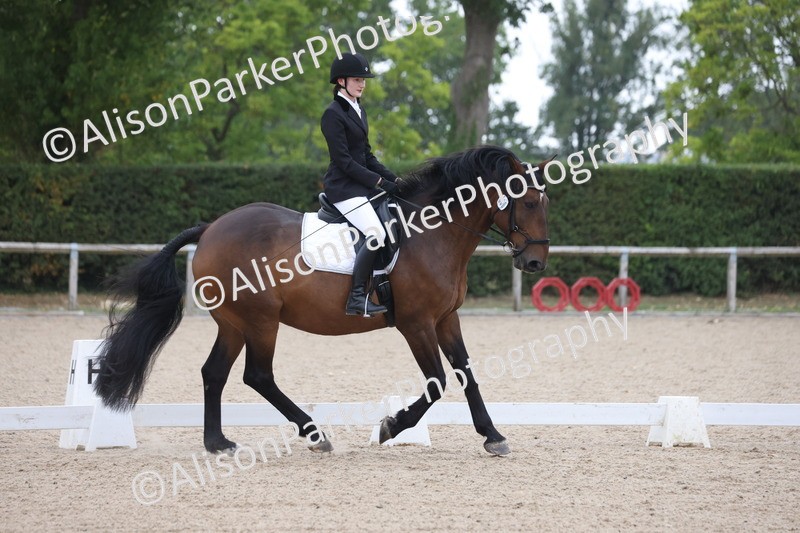 20250820-0349 - Class 11 - My Quest Novice 3