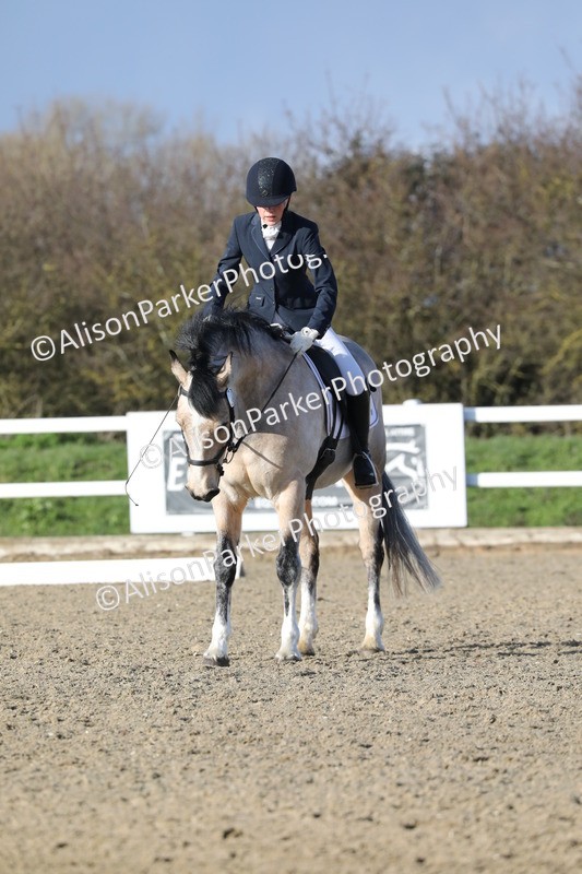 20260314-5851 - DR 7 - Elementary 1