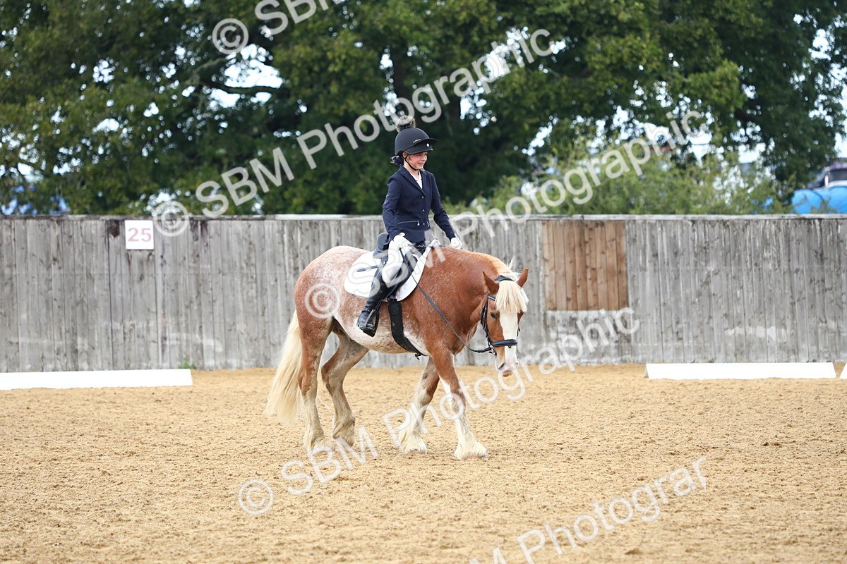 SBM_42652 - D21 - Junior Championship Intro 1