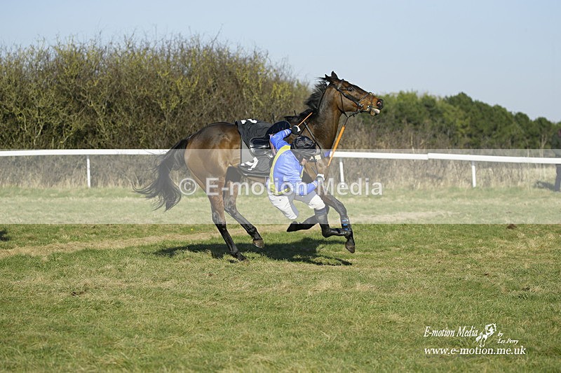 PtP 270222 373 - South & West Wilts Point-to-Point Larkhill 27/02/22