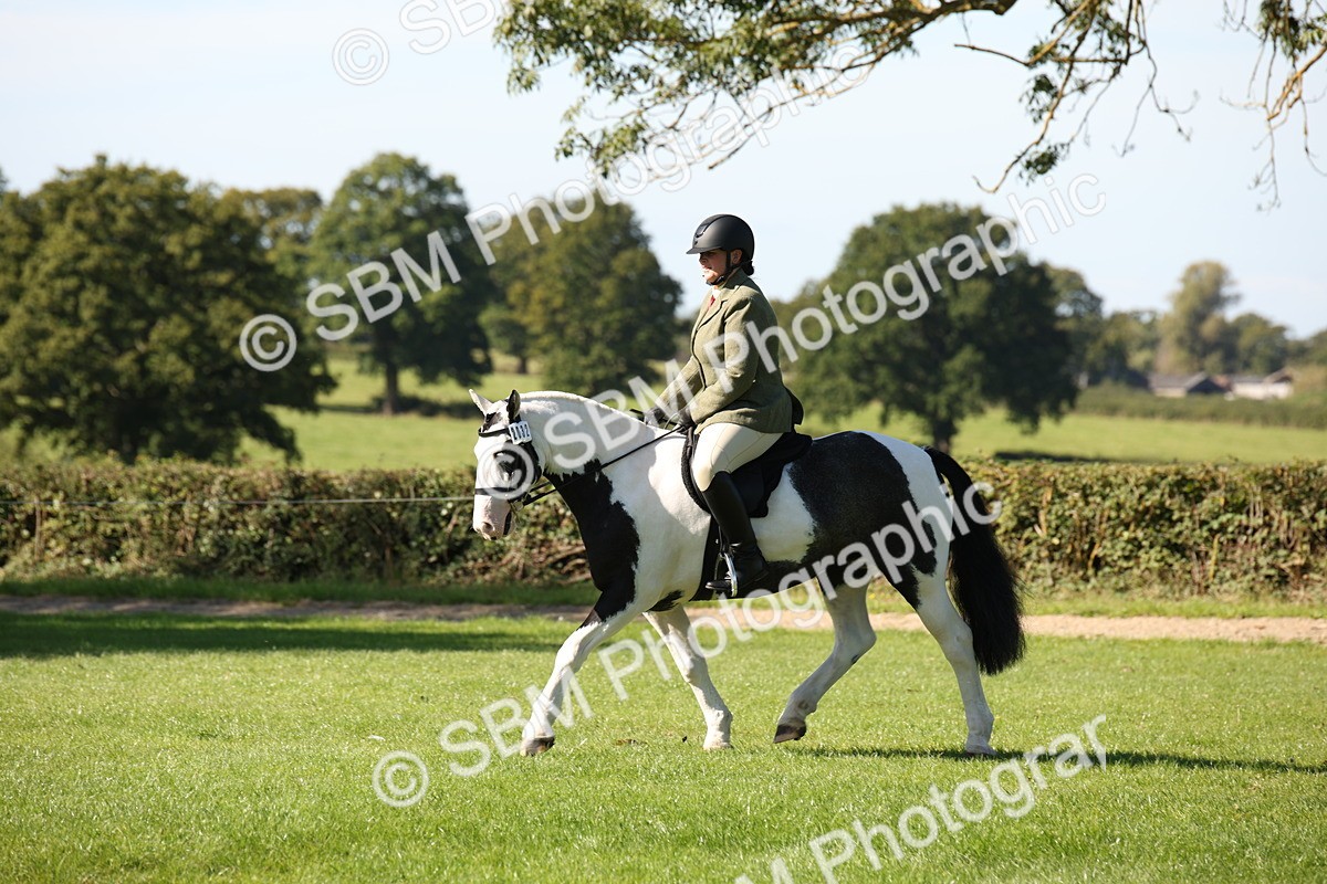 SBM_38970 - S11 - Best Ridden Horse & Pony
