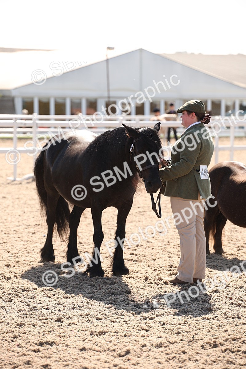 SBM_02797 - Class 16 IH M&M Wildcard