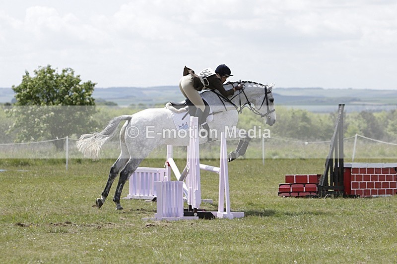 BVHT 140517 N-358 - Class 2 SJ Novice 14/05/17