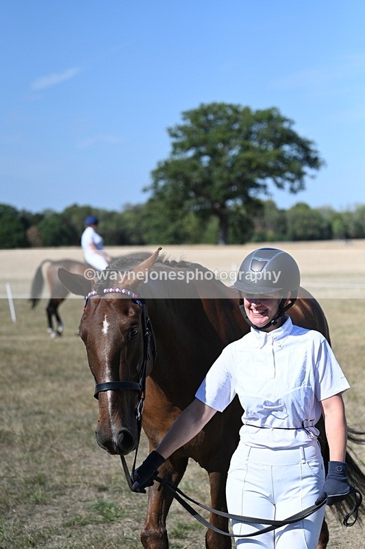WJ7_1506 - Class 42 Most Handsome Gelding