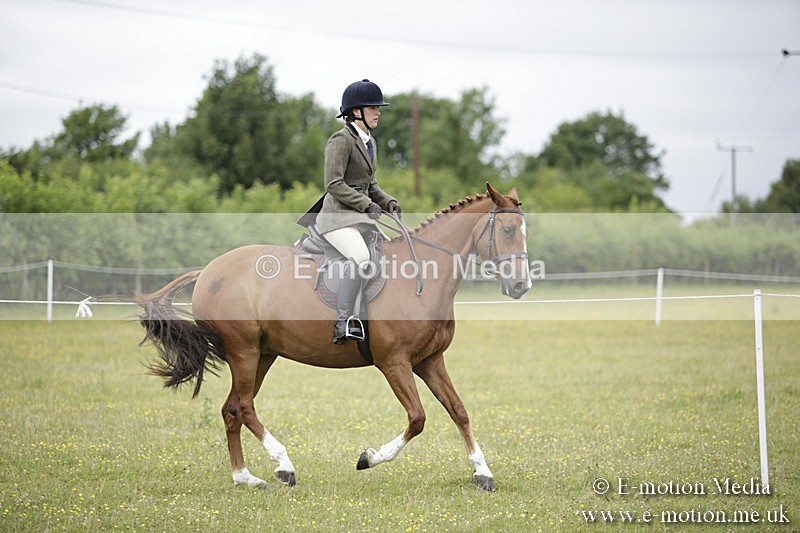 BVR160717-763 - Ring 1 BVRC Show 16/07/17