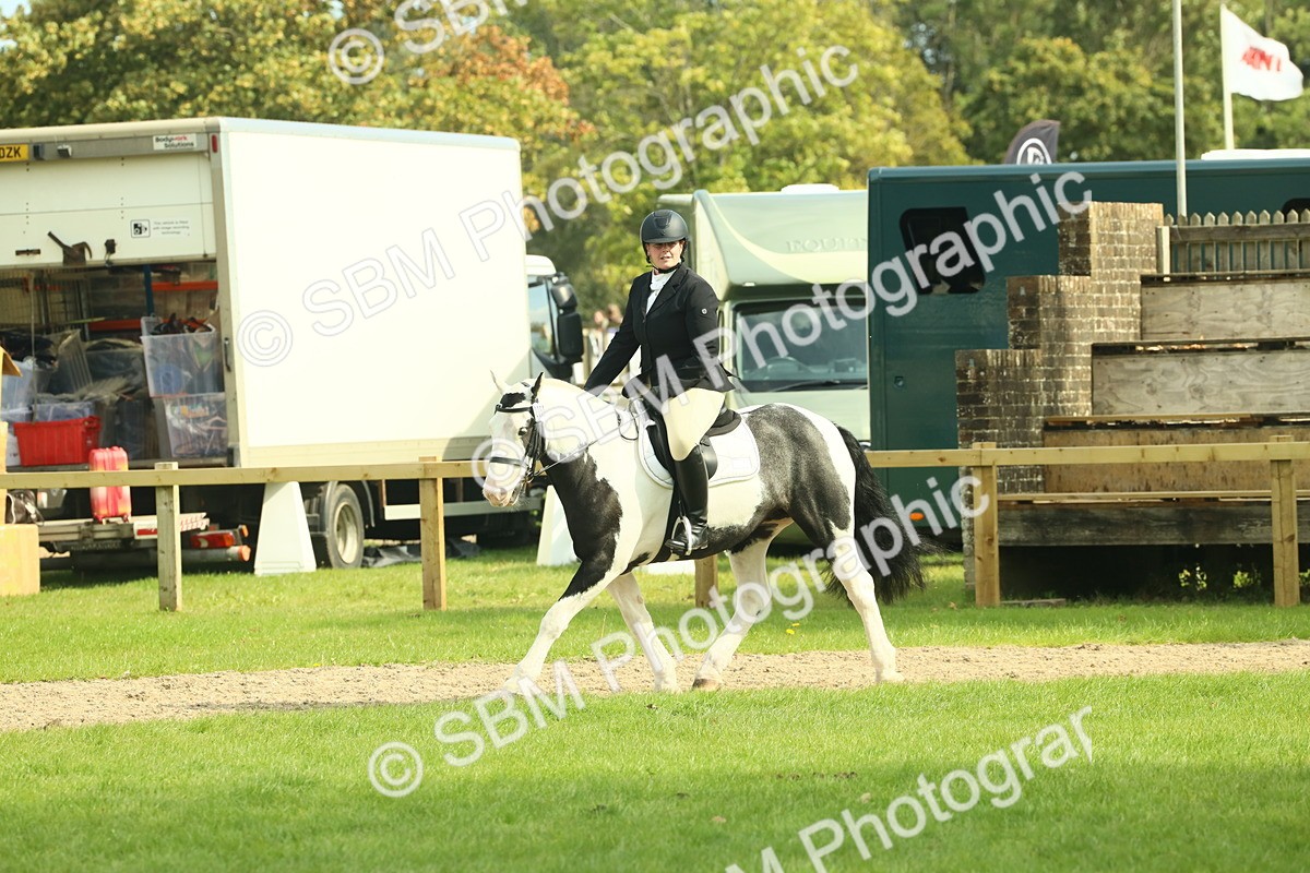SBM_66594 - S34 - Rehabilitated Rescue Horse & Pony In Hand & Ridden