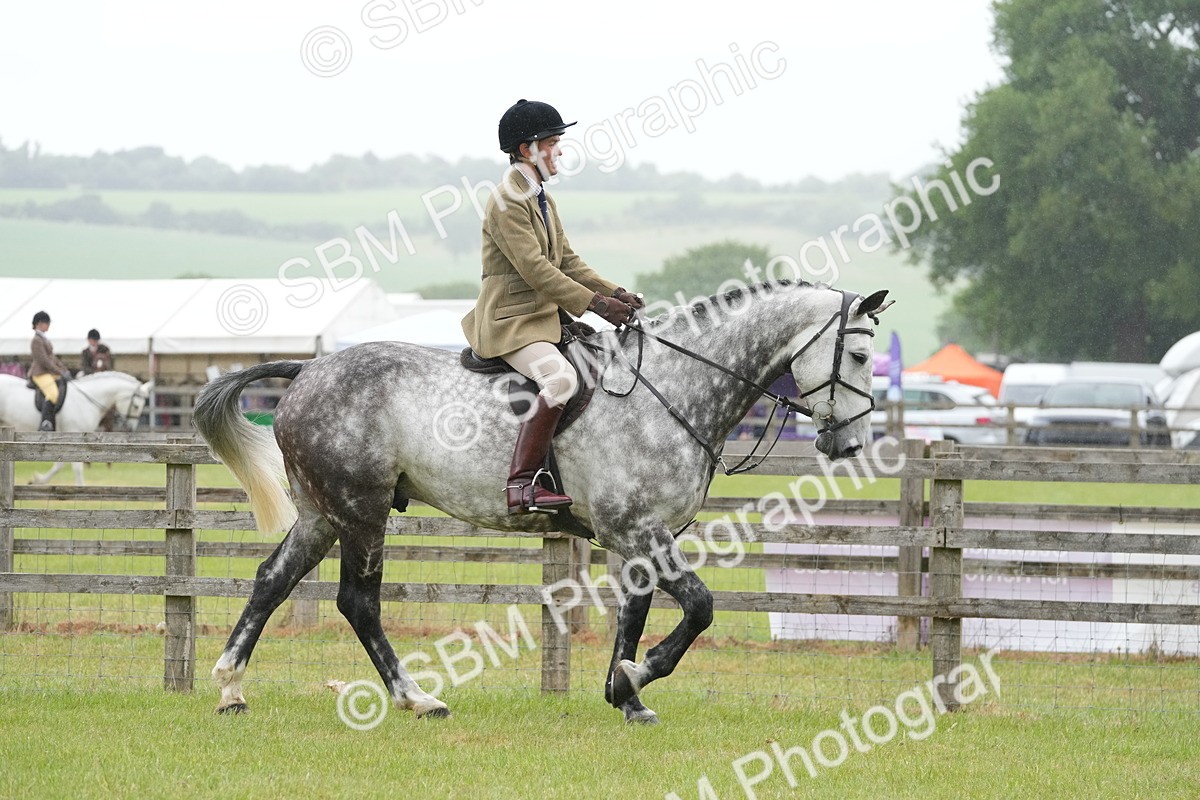 SBM_12636 - Class 97-98 - LIHS BSHA Rising Star Working Show Horse Hunter